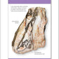 DK Rocks and Minerals flash cards