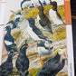Fantastic World of Animals