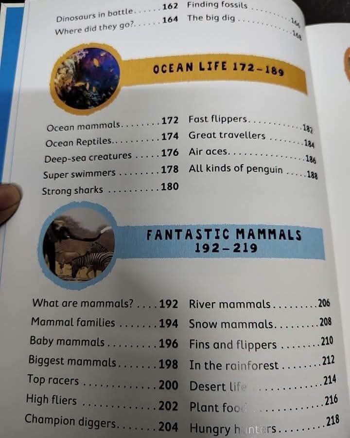 Miles Kelly Junior Encyclopedia