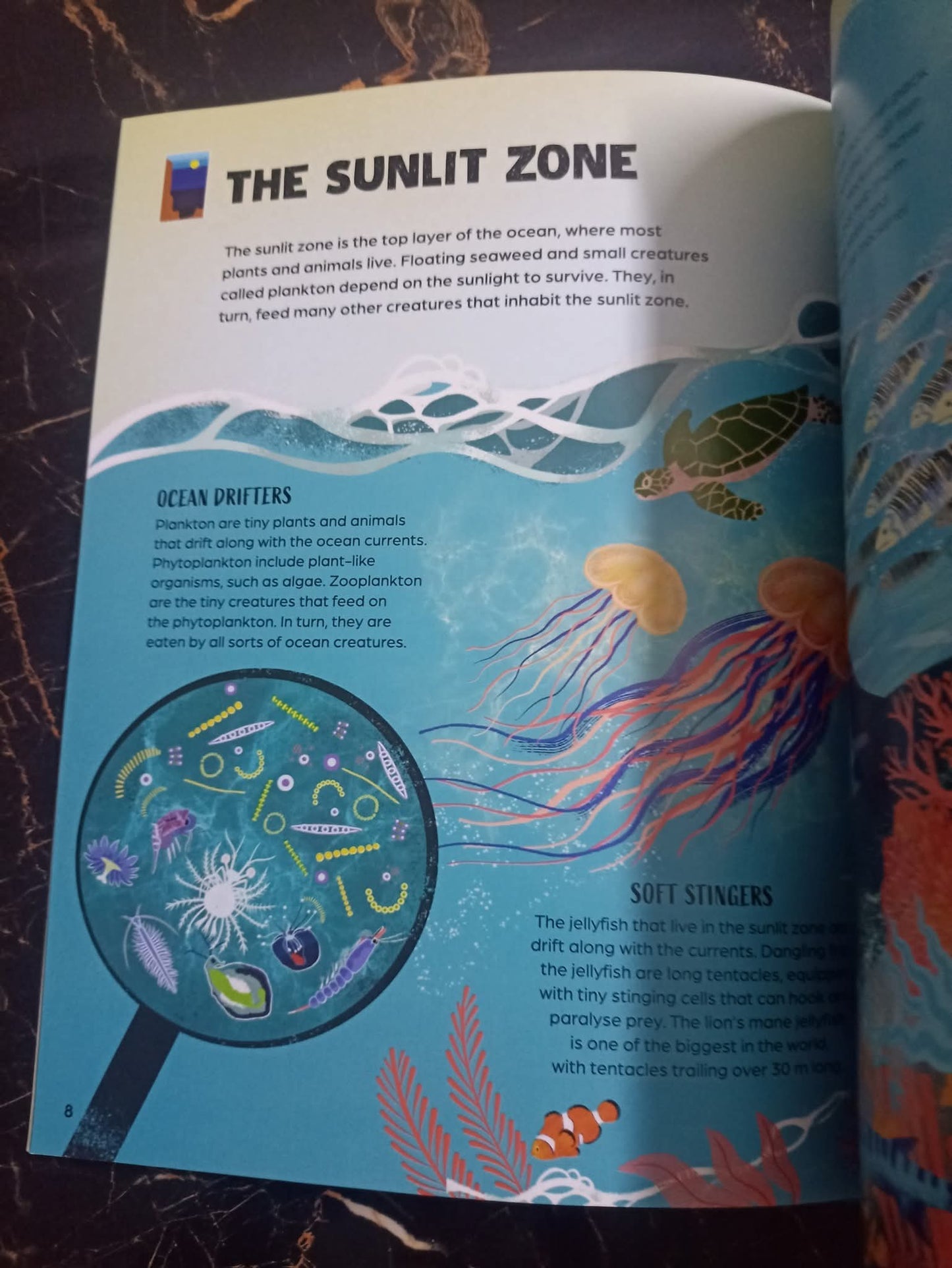 From Deep Sea to Shallow