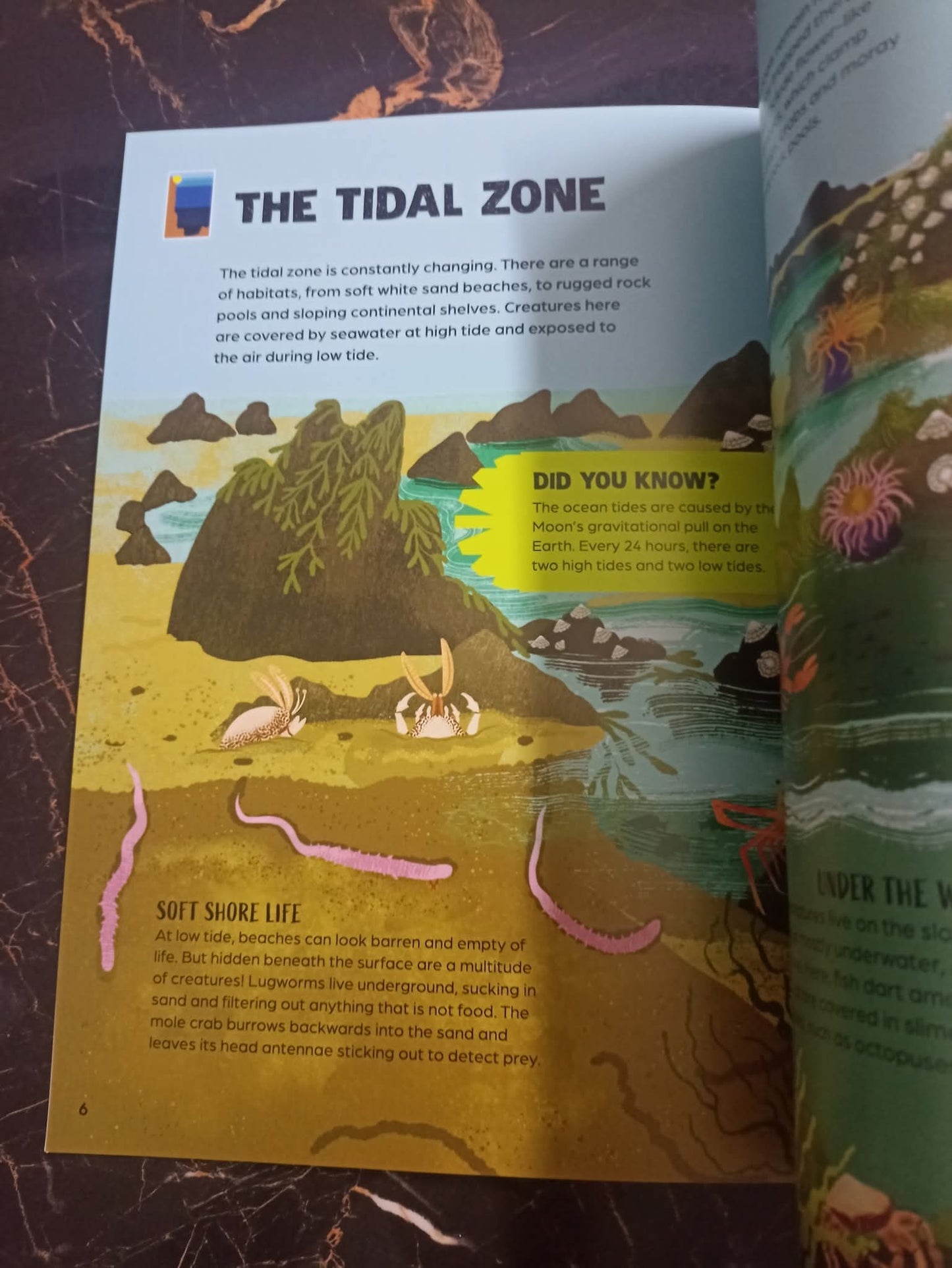 From Deep Sea to Shallow