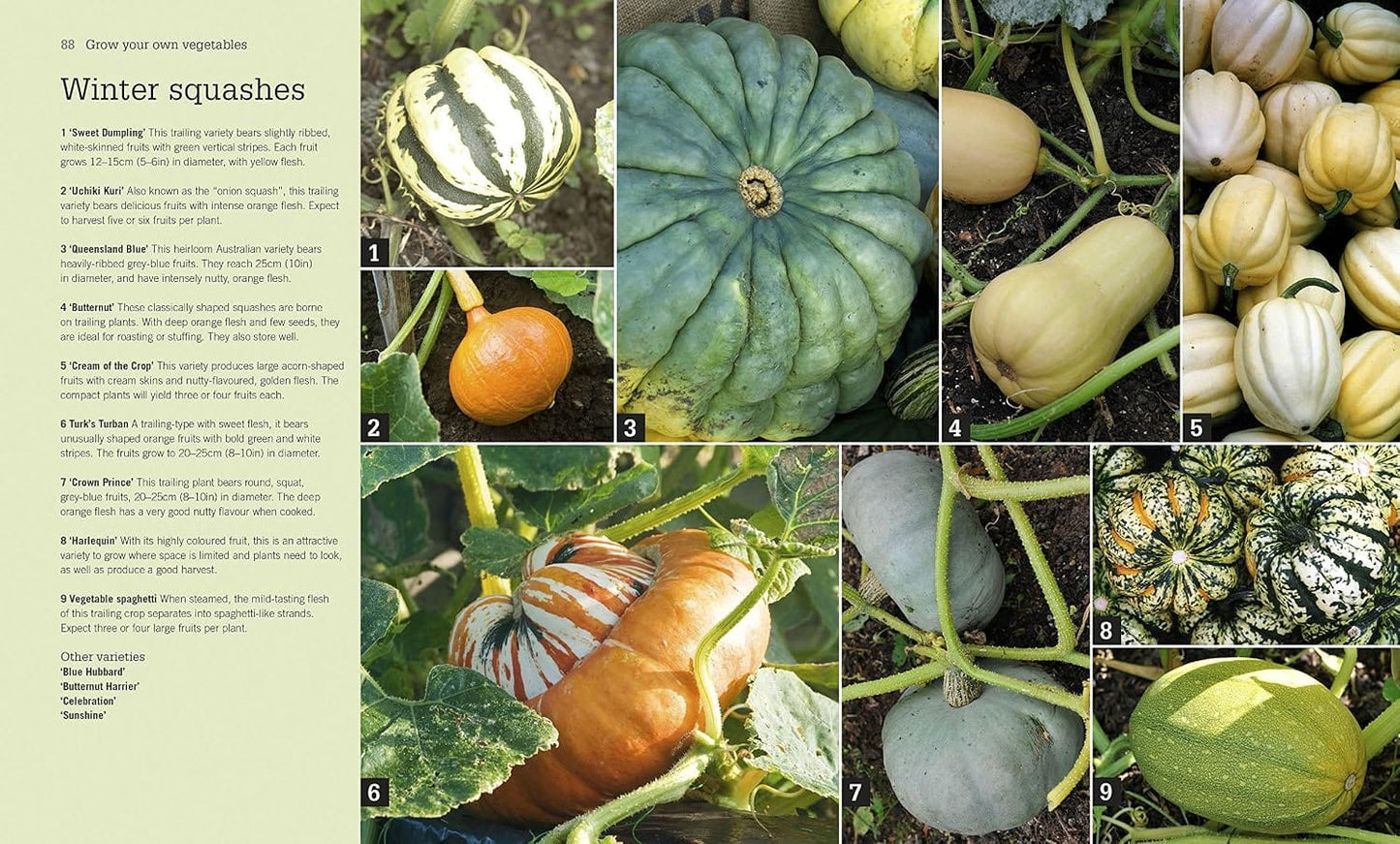 FRUIT & VEG BOX