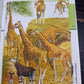 Fantastic World of Animals