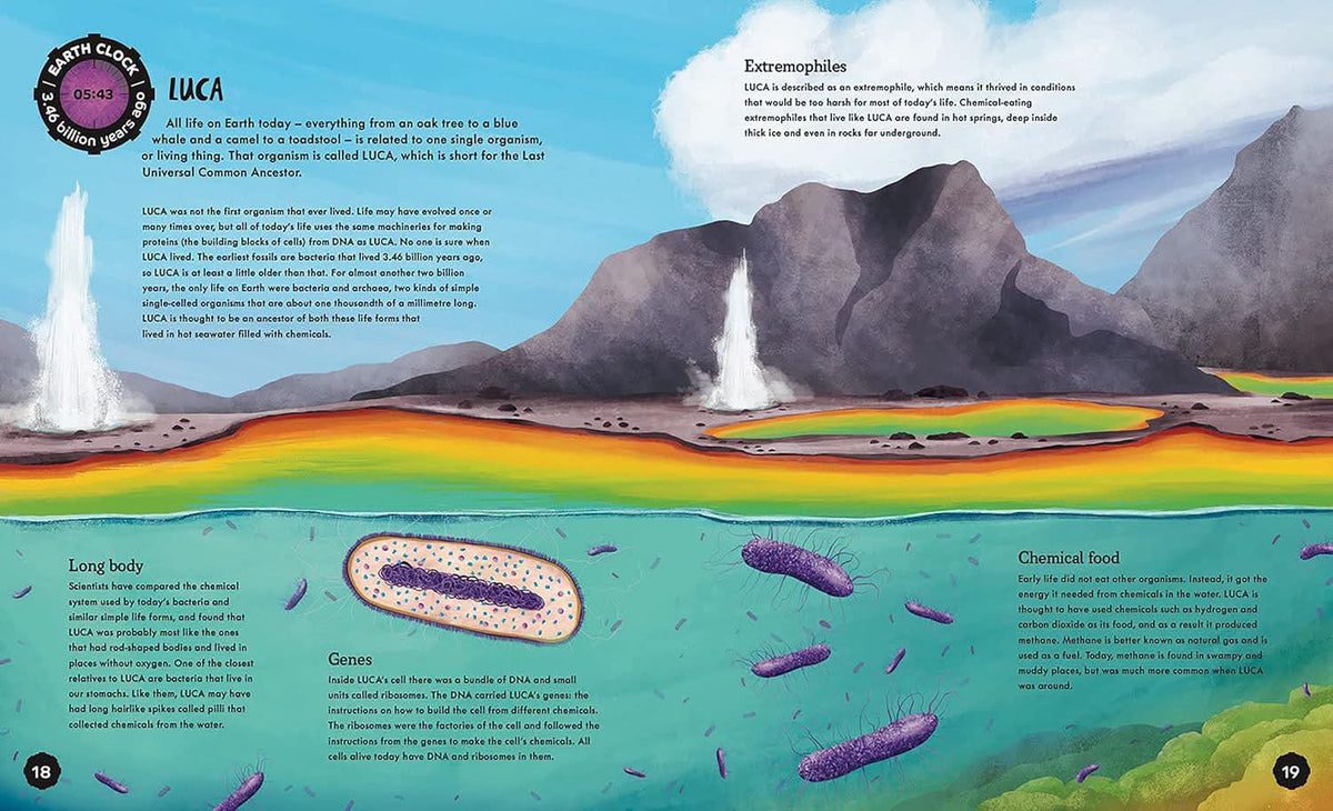 EARTH CLOCK (The History of our Planet in 24 hours)