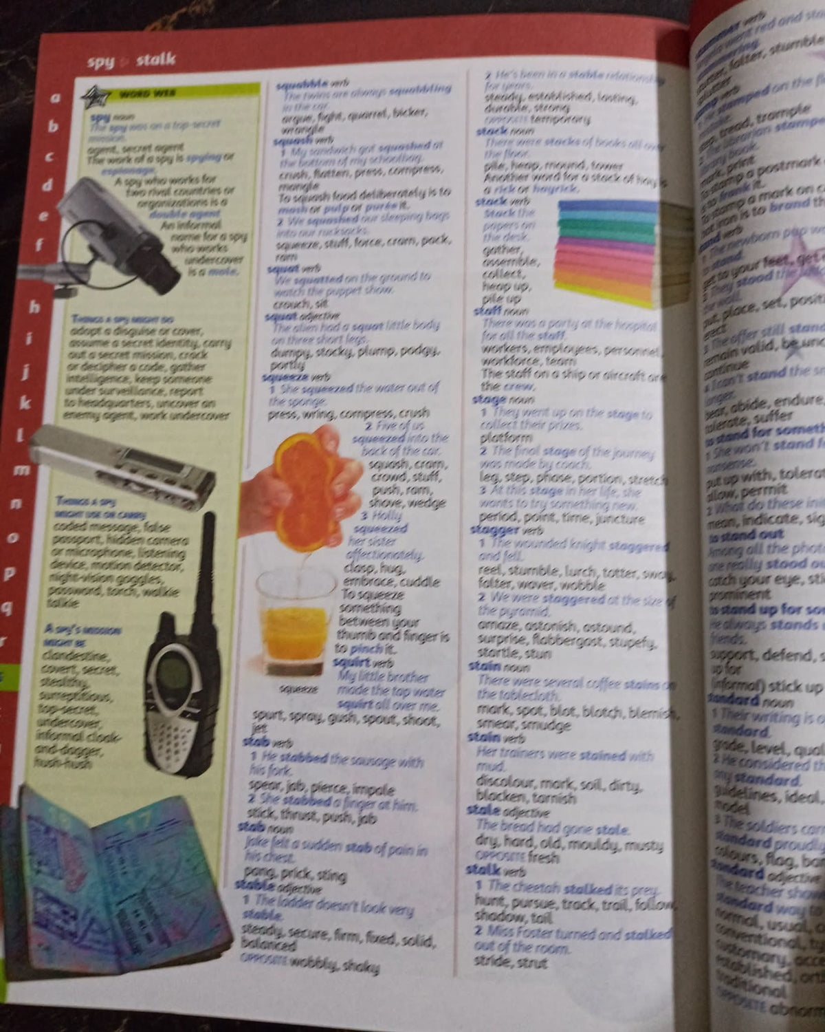 Oxford Illustrated Children's Dictionary and Thesaurus