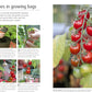 FRUIT & VEG BOX