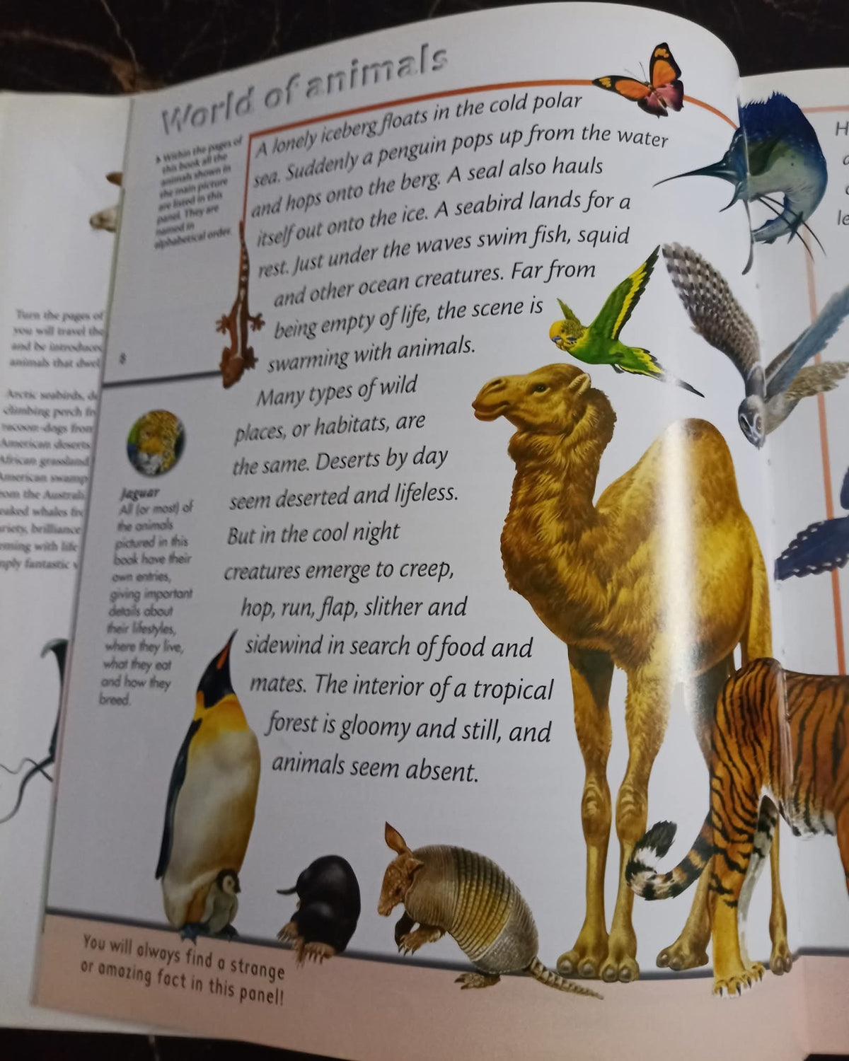 Fantastic World of Animals