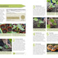 FRUIT & VEG BOX