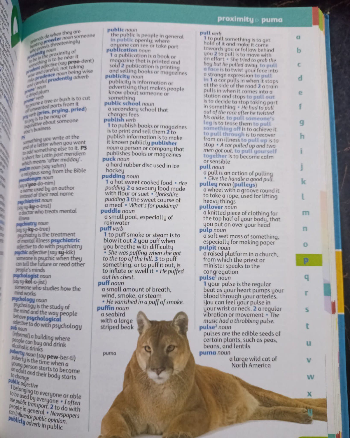 Oxford Illustrated Children's Dictionary