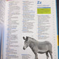 Oxford Illustrated Children's Dictionary