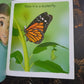 Little Readers Big Adventure set of 15 books