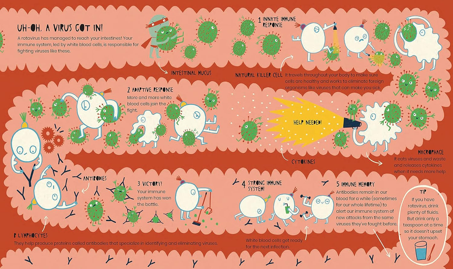 THE SECRET LIFE OF VIRUSES