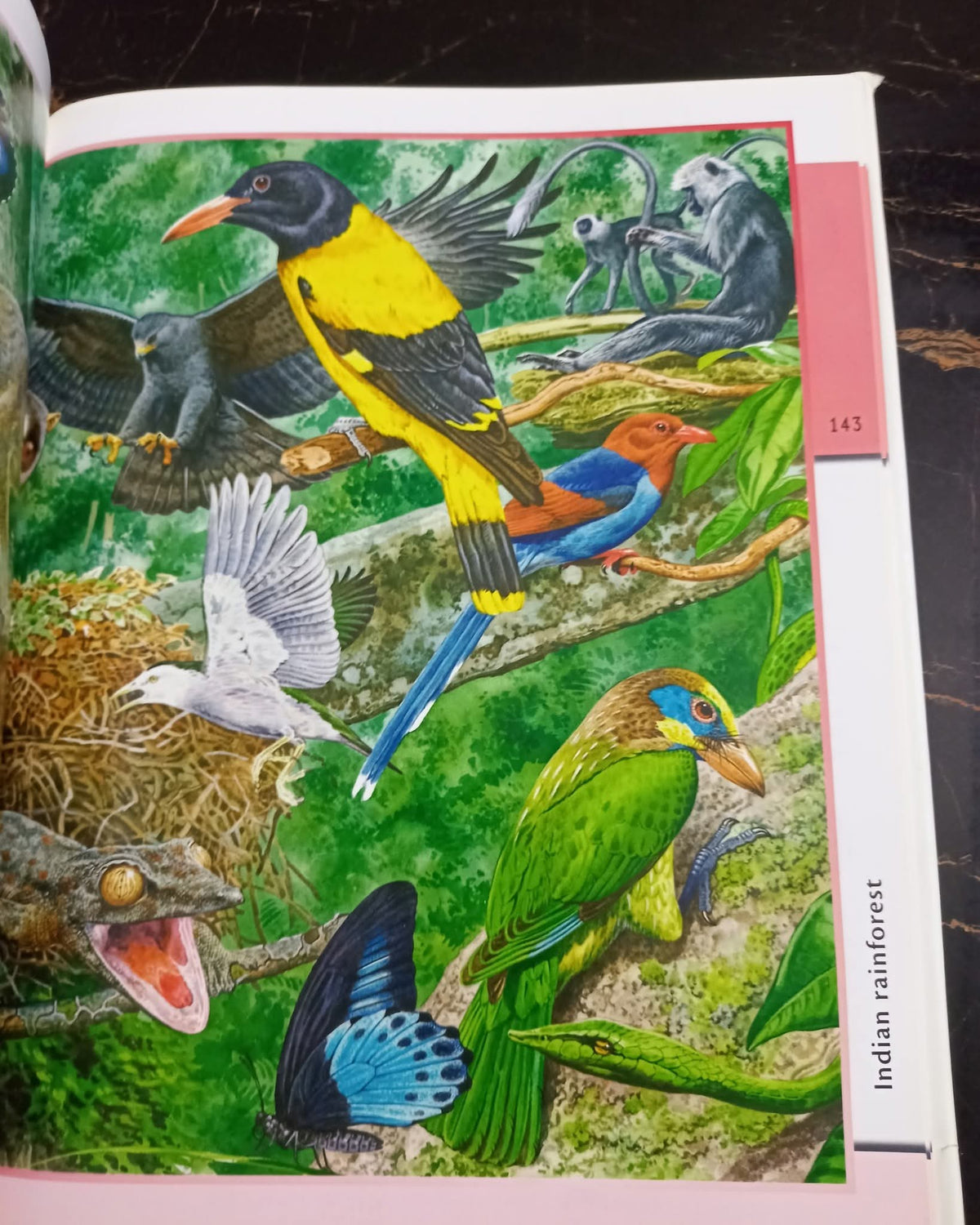 Fantastic World of Animals