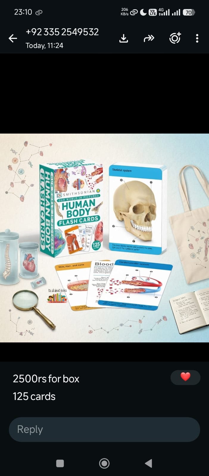 DK Our World in Pictures: HUMAN BODY FLASH CARDS