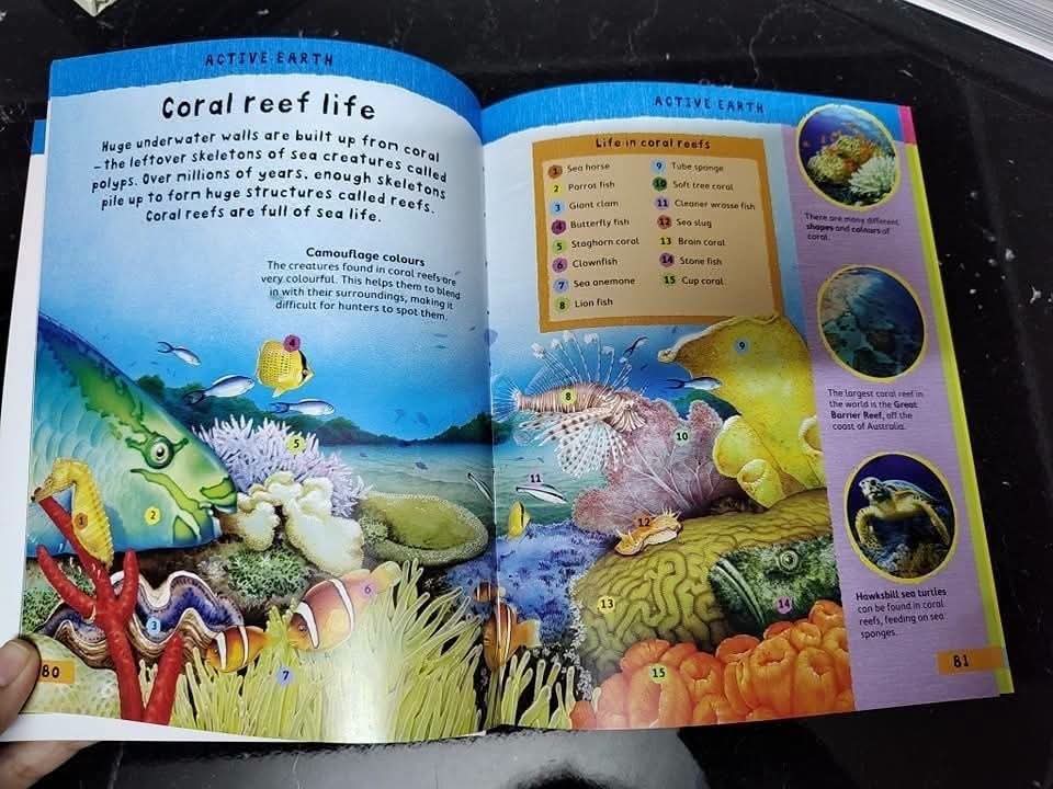 Miles Kelly Junior Encyclopedia